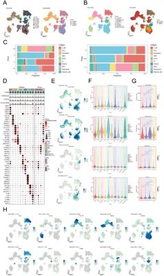 Elucidating the role of tumor-associated ALOX5+ mast cells with transformative function in cervical cancer progression via single-cell RNA sequencing